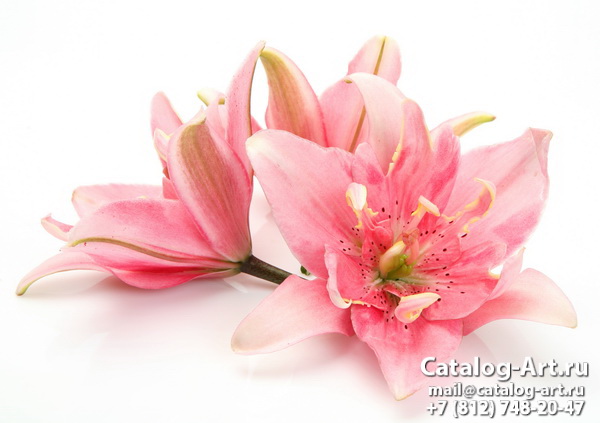 Натяжные потолки с фотопечатью - Розовые лилии 33